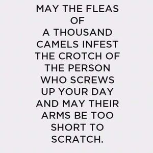 Meet your Posher, Stacy